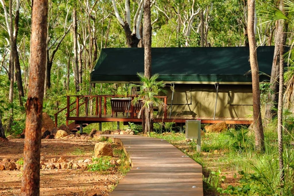 Arnhem Land Barramundi Lodge